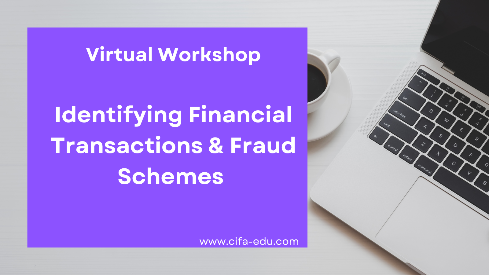 Identifying Financial Transactions & Fraud Schemes